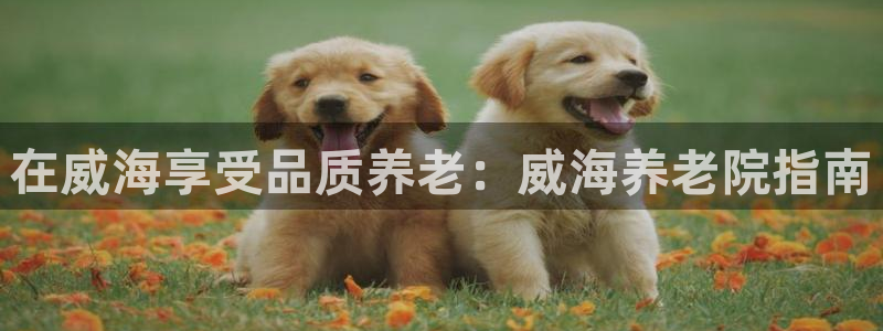 韦德官网注册推荐网站