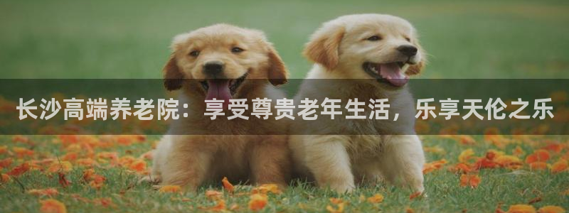 韦德1946最新网站