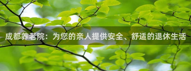 韦德bietview官网