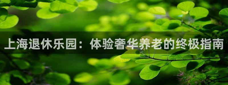 韦德官方网址大全