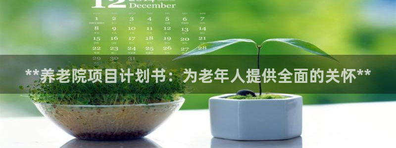 韦德1946游戏