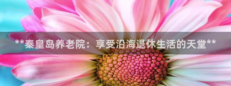 韦德观战总决赛G3