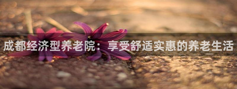 韦德游戏是什么