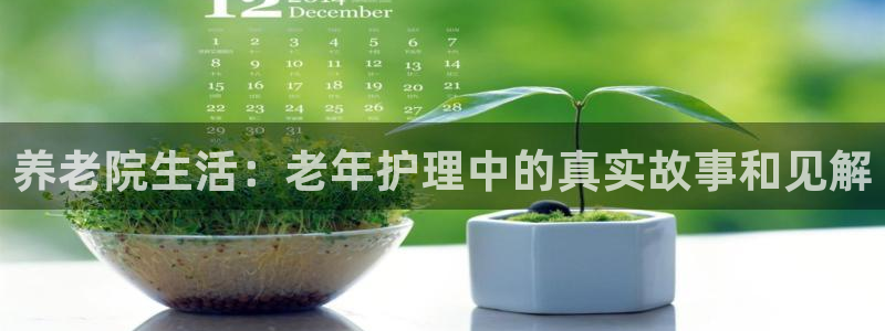 韦德1946博客