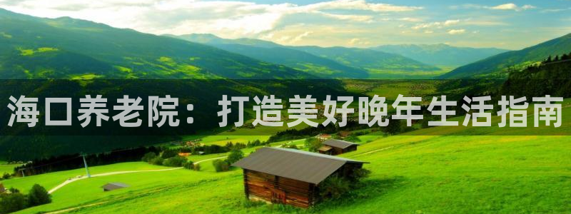 韦德游戏是什么