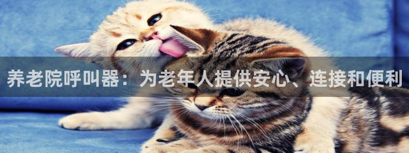 韦德1946娱乐