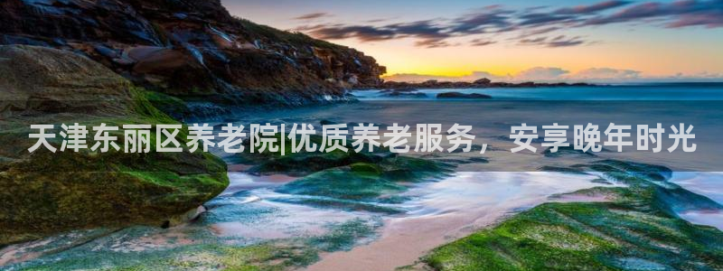 韦德官网在线