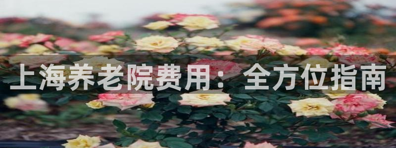 韦德2014
