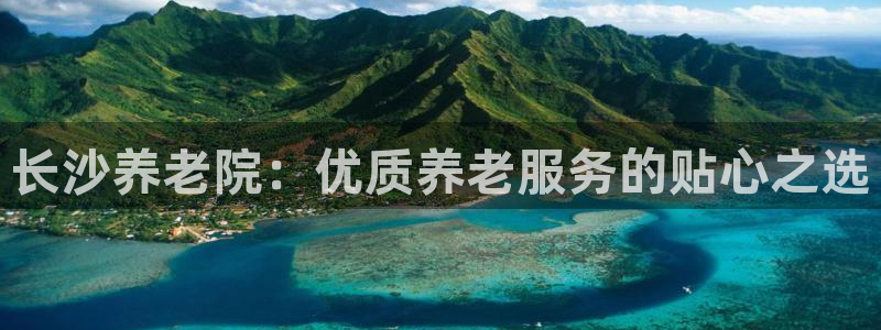 韦德bietview官网