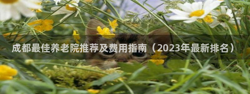 韦德1946娱乐手机版