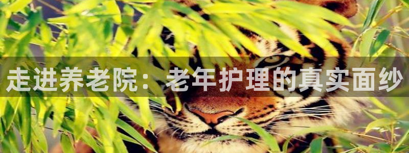 1946韦德找回密码