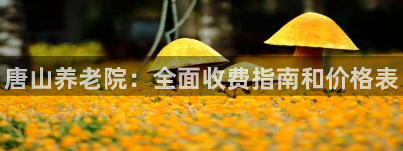 韦德1946游戏