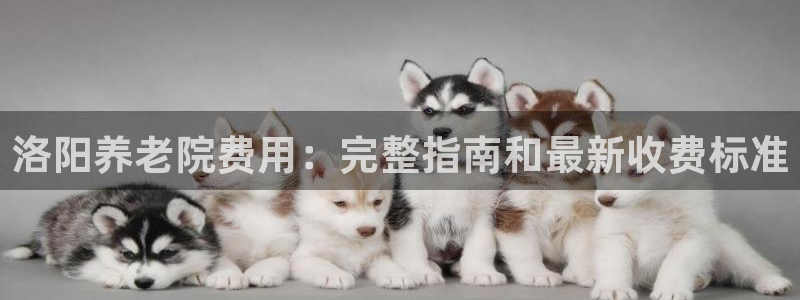 韦德 网站