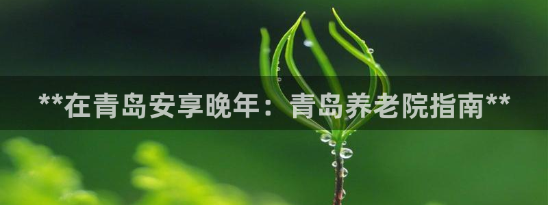 韦德新品