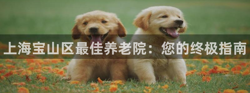 韦德国际体育