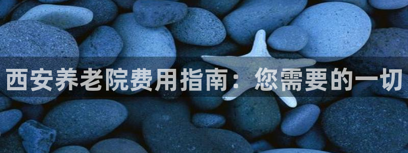 韦德网址是多少