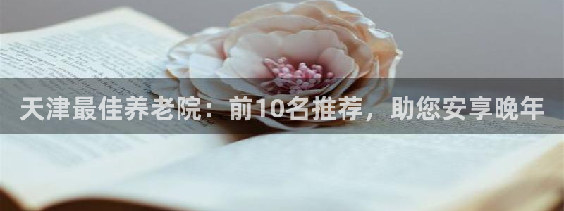 韦德 网站