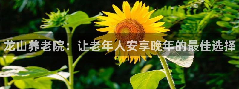 韦德1946网址