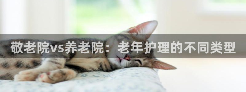 bet韦德1946