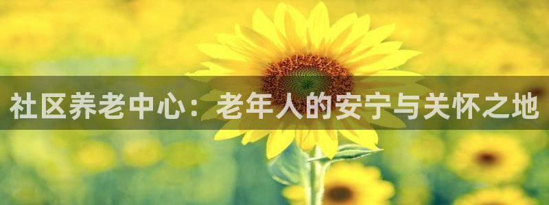 韦德网址是多少