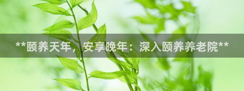 1946韦德游戏
