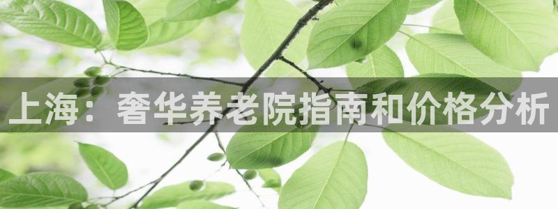韦德 网址