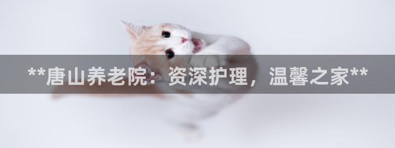 1946韦德找回密码