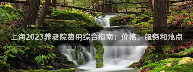 1946韦德游戏