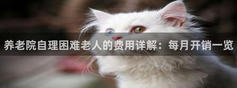 韦德游戏是什么