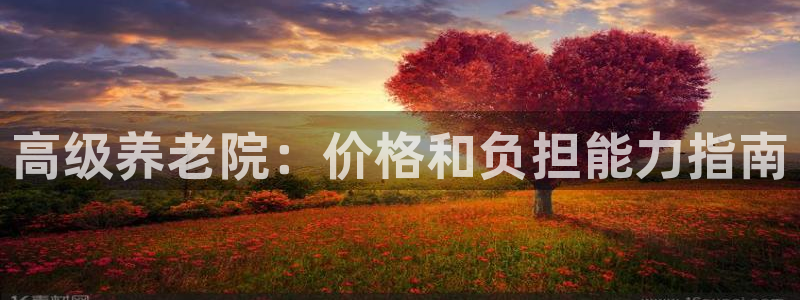 韦德官网注册推荐网站是什么