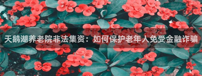 韦德合集