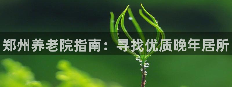 韦德8月22日开启中国行