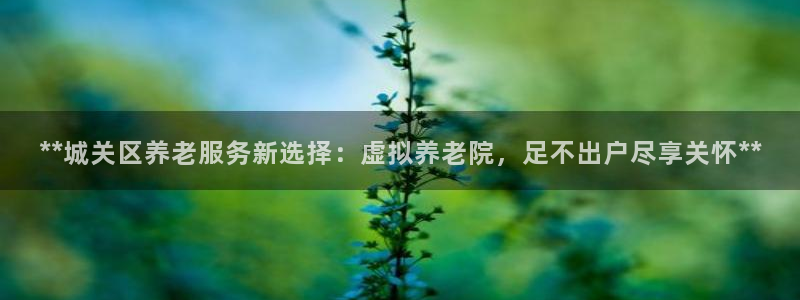韦德事件