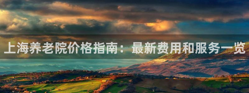 韦德网站是多少