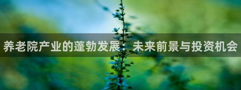 韦德 官网