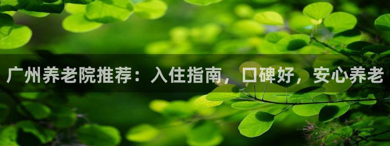 韦德1946手机版