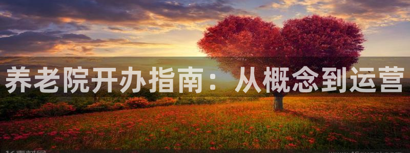 韦德1946手机版