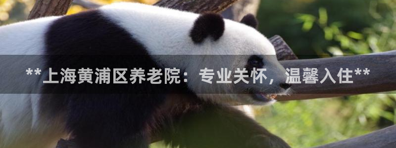 1946韦德官方网站