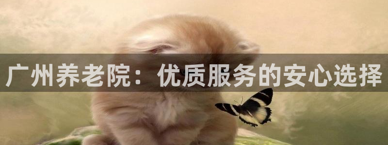韦德网址是多少