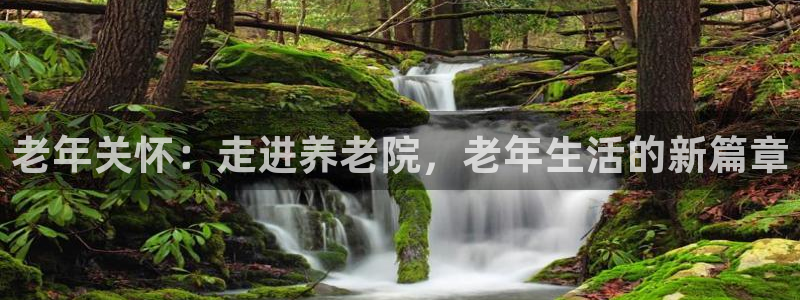 韦德网址