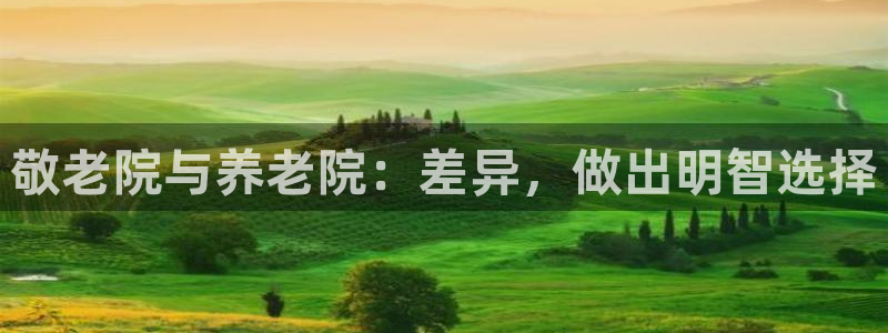 韦德1946