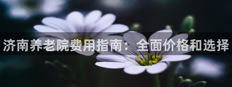 韦德观战总决赛G3