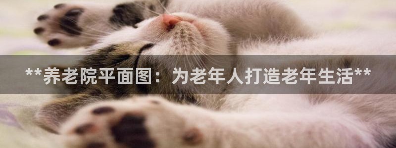 韦德合集