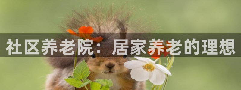 韦德1946体育