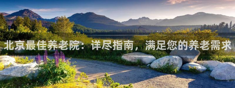韦德游戏网址