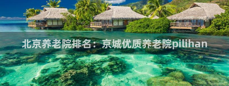韦德观战总决赛G3