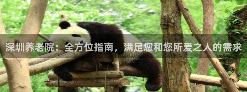 韦德网站是多少