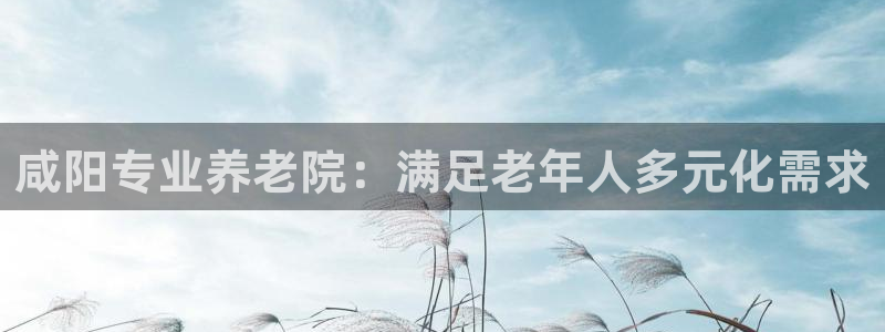 韦德网址是多少