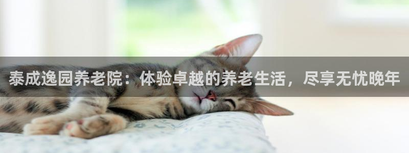 韦德1946国际