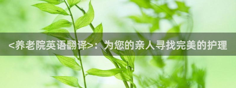 韦德网址